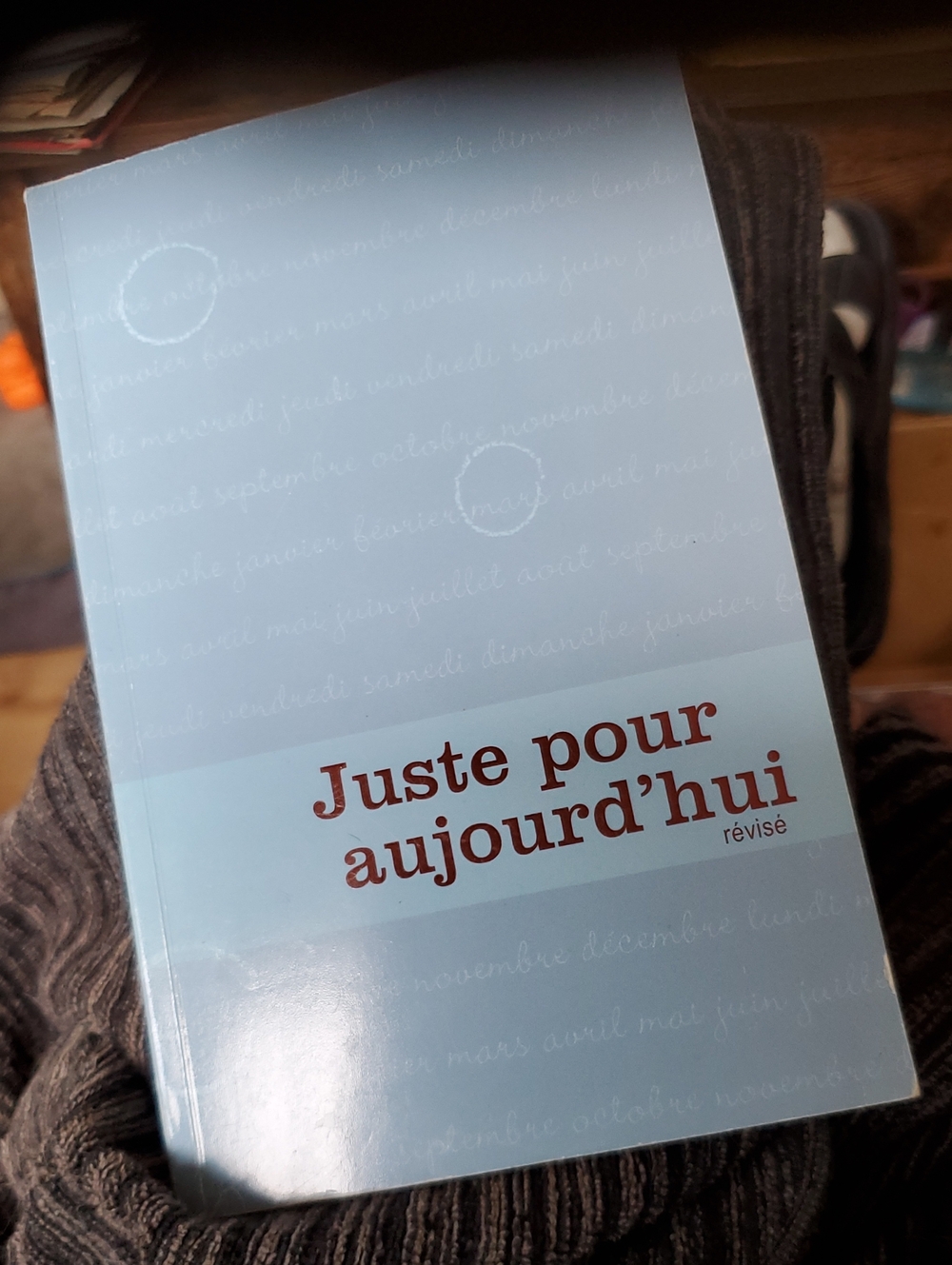 Juste pour aujourd'hui - Light Blue Daily Journal